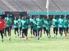 Aliou Cissé : « Je connais l’essentiel du groupe de la CAN 2019 »