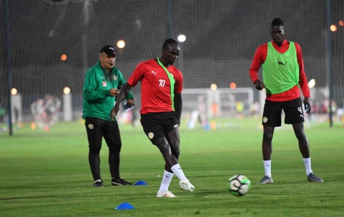 Dernière séance d’entrainement des Lions avant de rallier leur camp de base au Caire