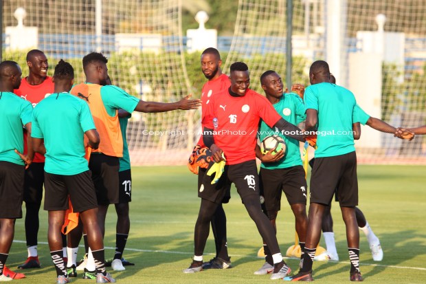 Sénégal vs Nigéria : Séance d’entrainement des Lions