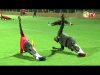 Amical Maroc vs Sénégal : Premier galop d’entraînement des Lions
