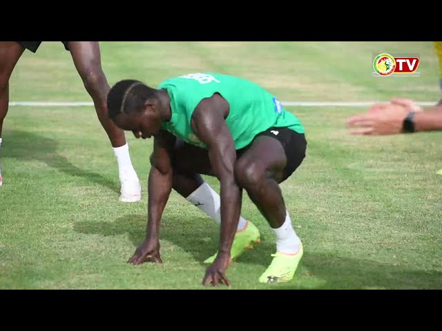 Sénégal vs Zambie: Séance d’entraînement des Lions