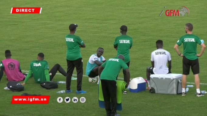 Suivez en direct la séance d’entraînement du jour des Lions