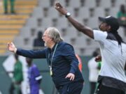 Tom Sainfiet, sélectionneur du Mali : «Le Sénégal peut être le premier pays africain à gagner le Mondial»
