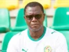 Alioune Abitalib Fall prend les Lionnes avec la Coupe du monde en ligne de mire